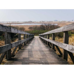 Lightweight Silk Coat fr-FR